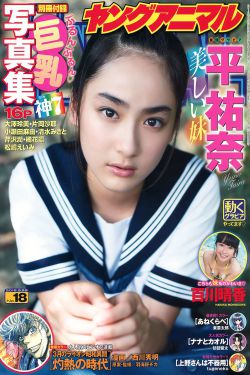 猎捕电视剧全集